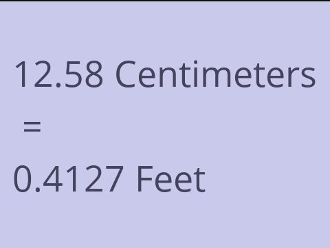 12.58 CM TO FEET