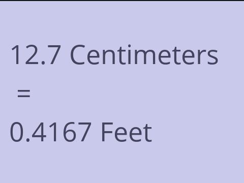 12.7 CM TO FEET