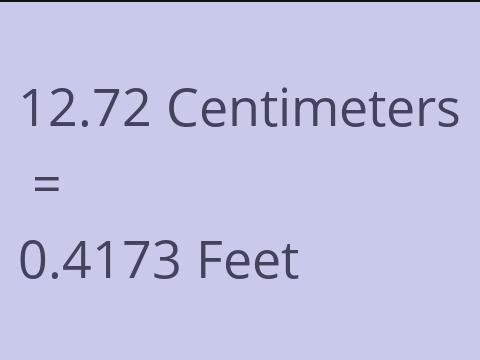 12.72 CM TO FEET