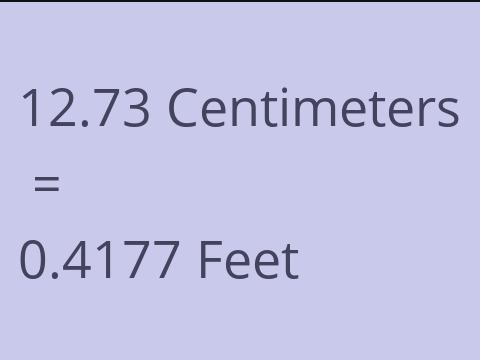 12.73 CM TO FEET