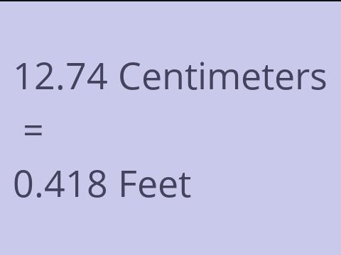 12.74 CM TO FEET