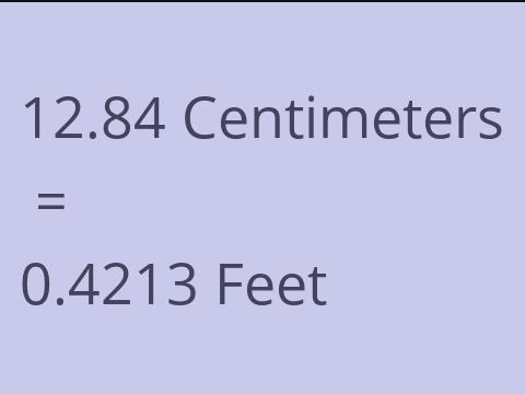 12.84 CM TO FEET