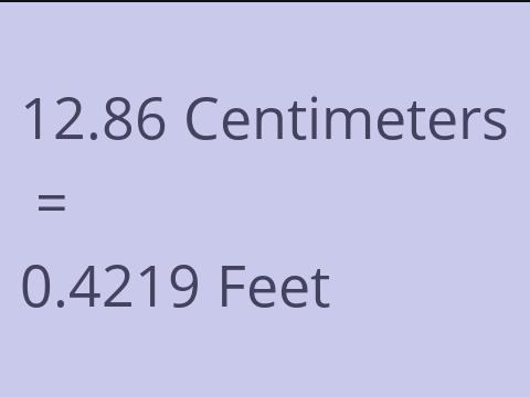 12.86 CM TO FEET