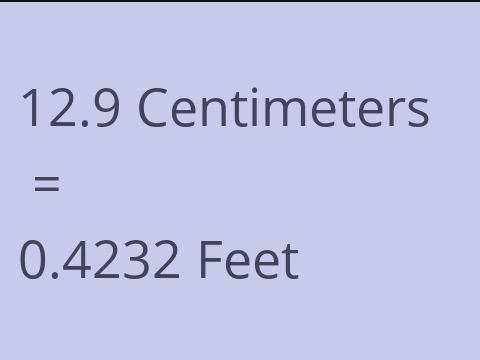 12.9 CM TO FEET