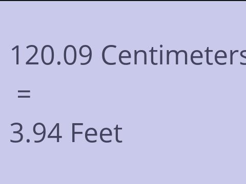 120.09 CM TO FEET