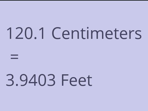 120.1 CM TO FEET