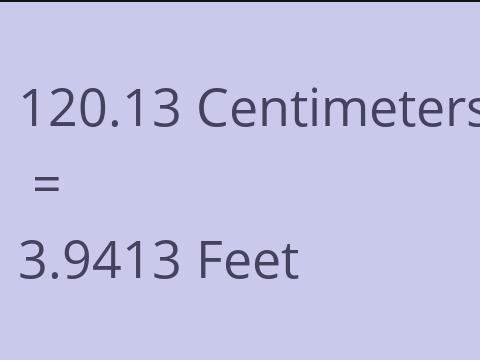 120.13 CM TO FEET