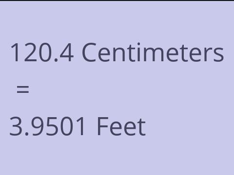 120.4 CM TO FEET