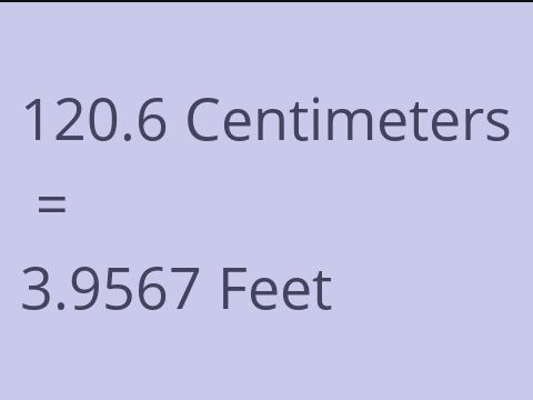 120.6 CM TO FEET