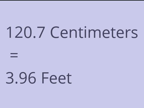 120.7 CM TO FEET