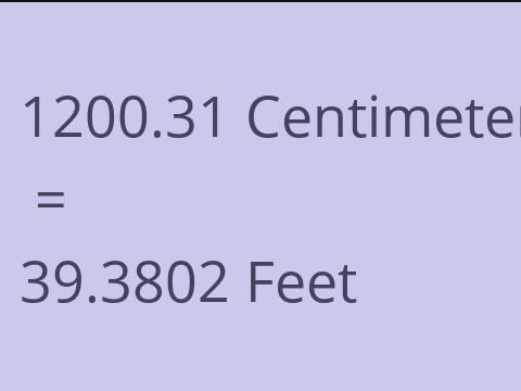 1200.31 CM TO FEET