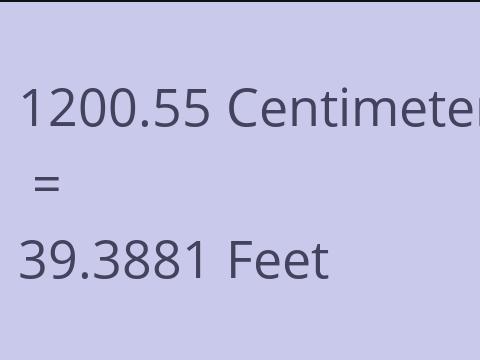 1200.55 CM TO FEET