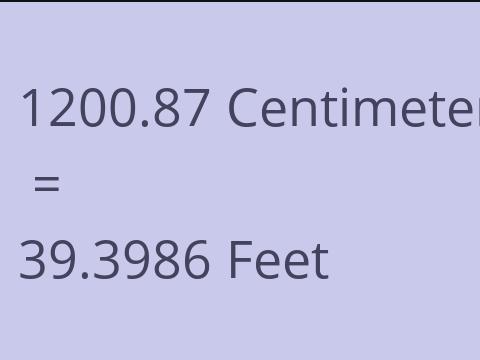 1200.87 CM TO FEET