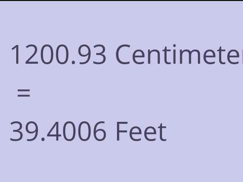 1200.93 CM TO FEET