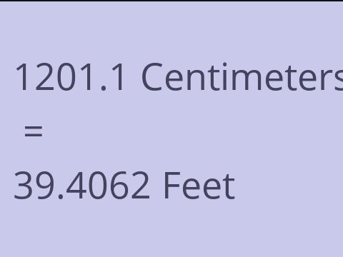 1201.1 CM TO FEET