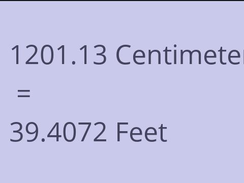 1201.13 CM TO FEET