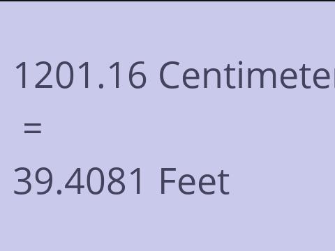 1201.16 CM TO FEET