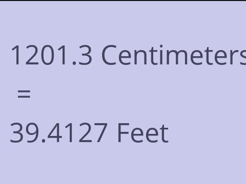 1201.3 CM TO FEET