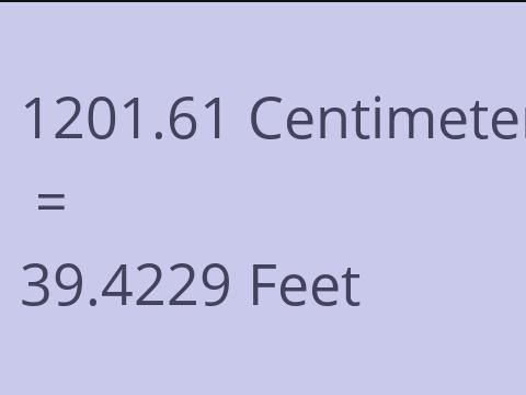 1201.61 CM TO FEET