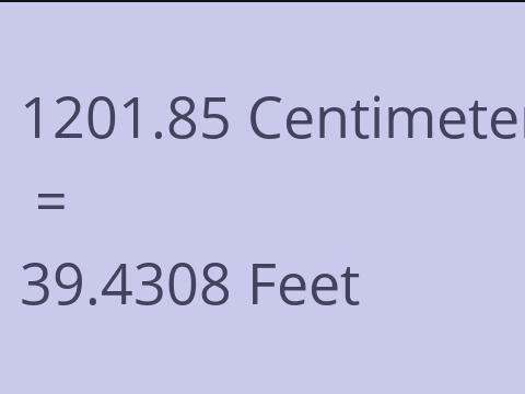 1201.85 CM TO FEET