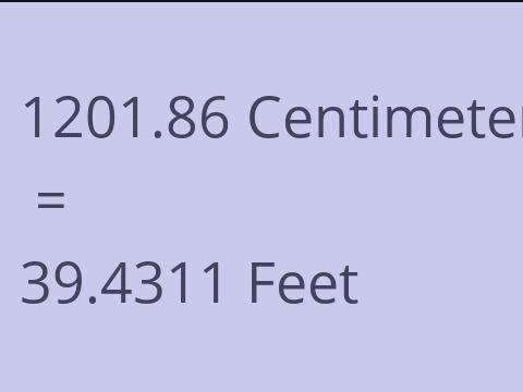 1201.86 CM TO FEET