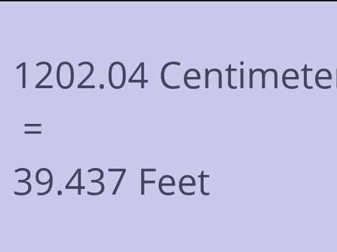 1202.04 CM TO FEET