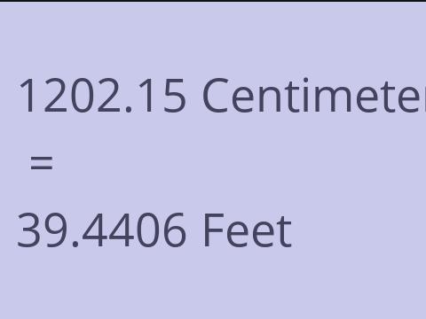 1202.15 CM TO FEET