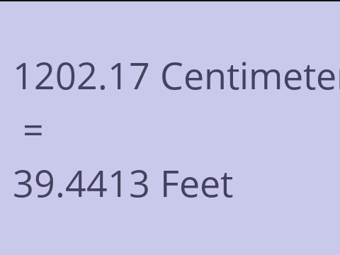 1202.17 CM TO FEET