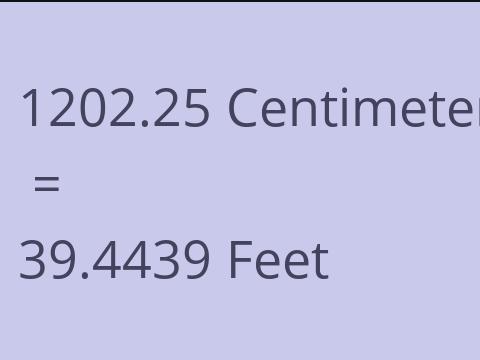 1202.25 CM TO FEET