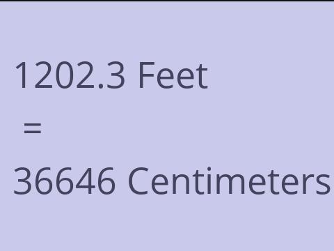 1202.3 FEET TO CM