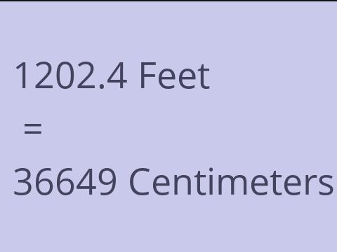 1202.4 FEET TO CM