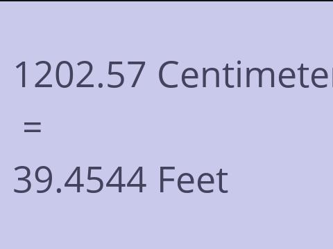 1202.57 CM TO FEET