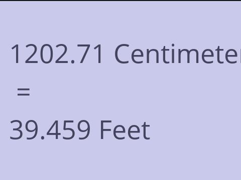 1202.71 CM TO FEET