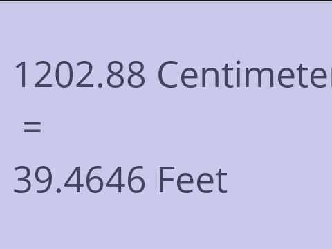 1202.88 CM TO FEET