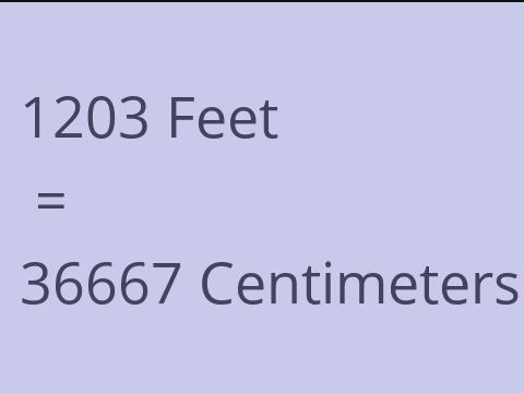 1203 FEET TO CM