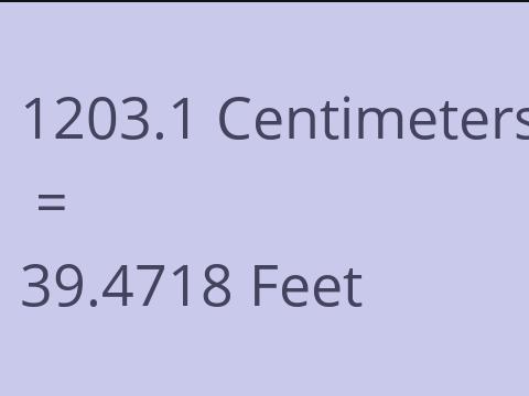 1203.1 CM TO FEET