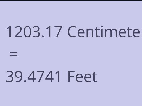 1203.17 CM TO FEET