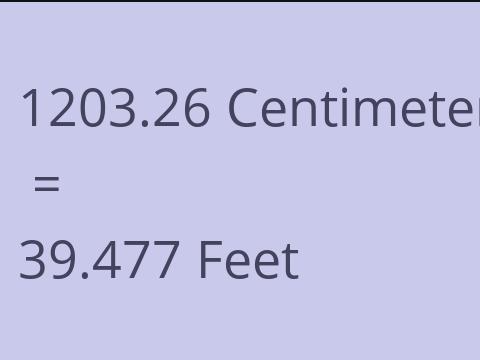 1203.26 CM TO FEET