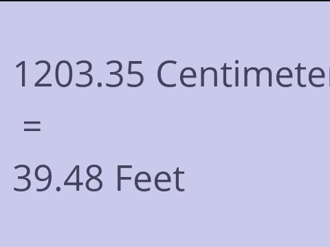 1203.35 CM TO FEET