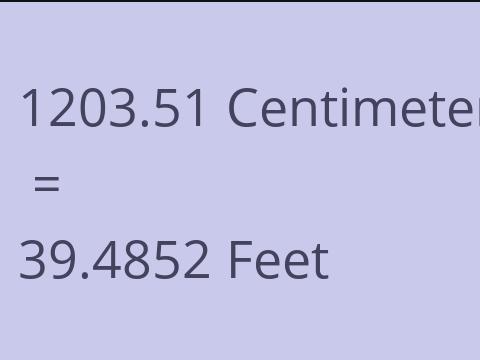 1203.51 CM TO FEET