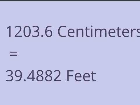 1203.6 CM TO FEET