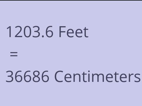 1203.6 FEET TO CM