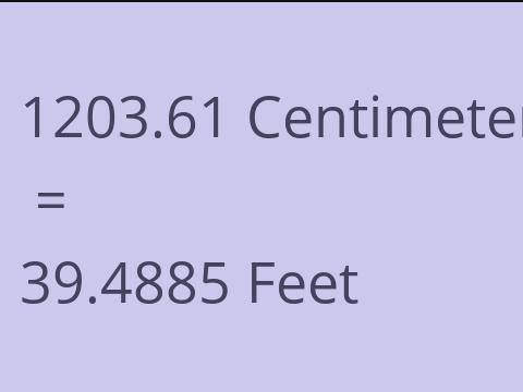 1203.61 CM TO FEET