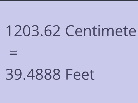 1203.62 CM TO FEET