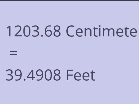 1203.68 CM TO FEET