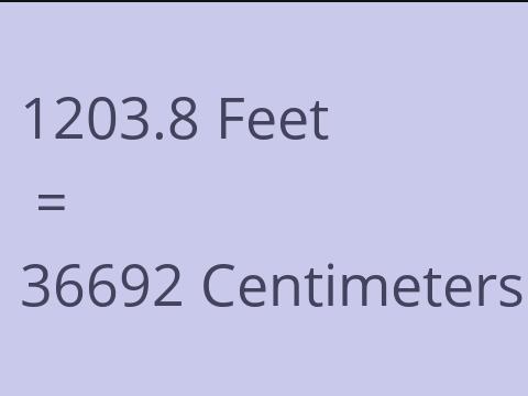 1203.8 FEET TO CM