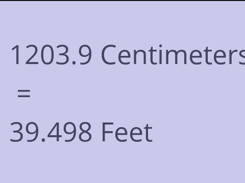 1203.9 CM TO FEET