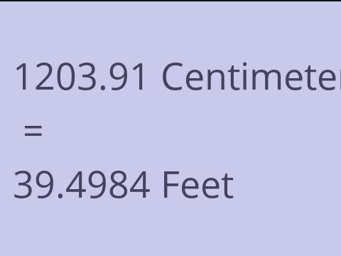 1203.91 CM TO FEET