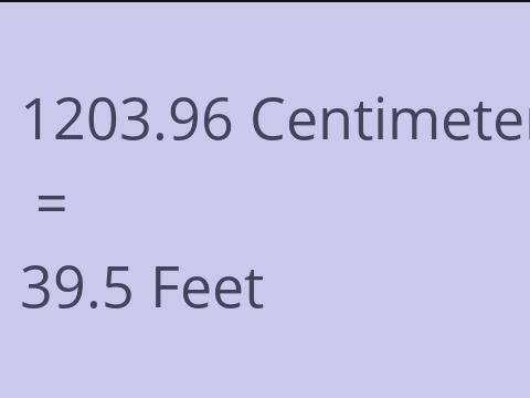 1203.96 CM TO FEET