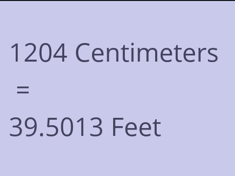 1204 CM TO FEET